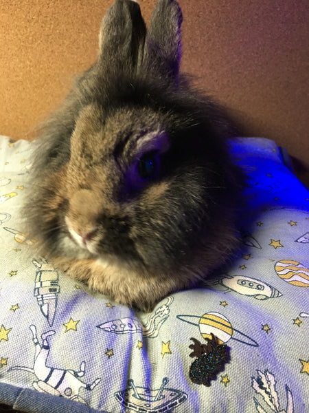 Bat Bunny 1" Soft Enamel Pin: Blind Bag